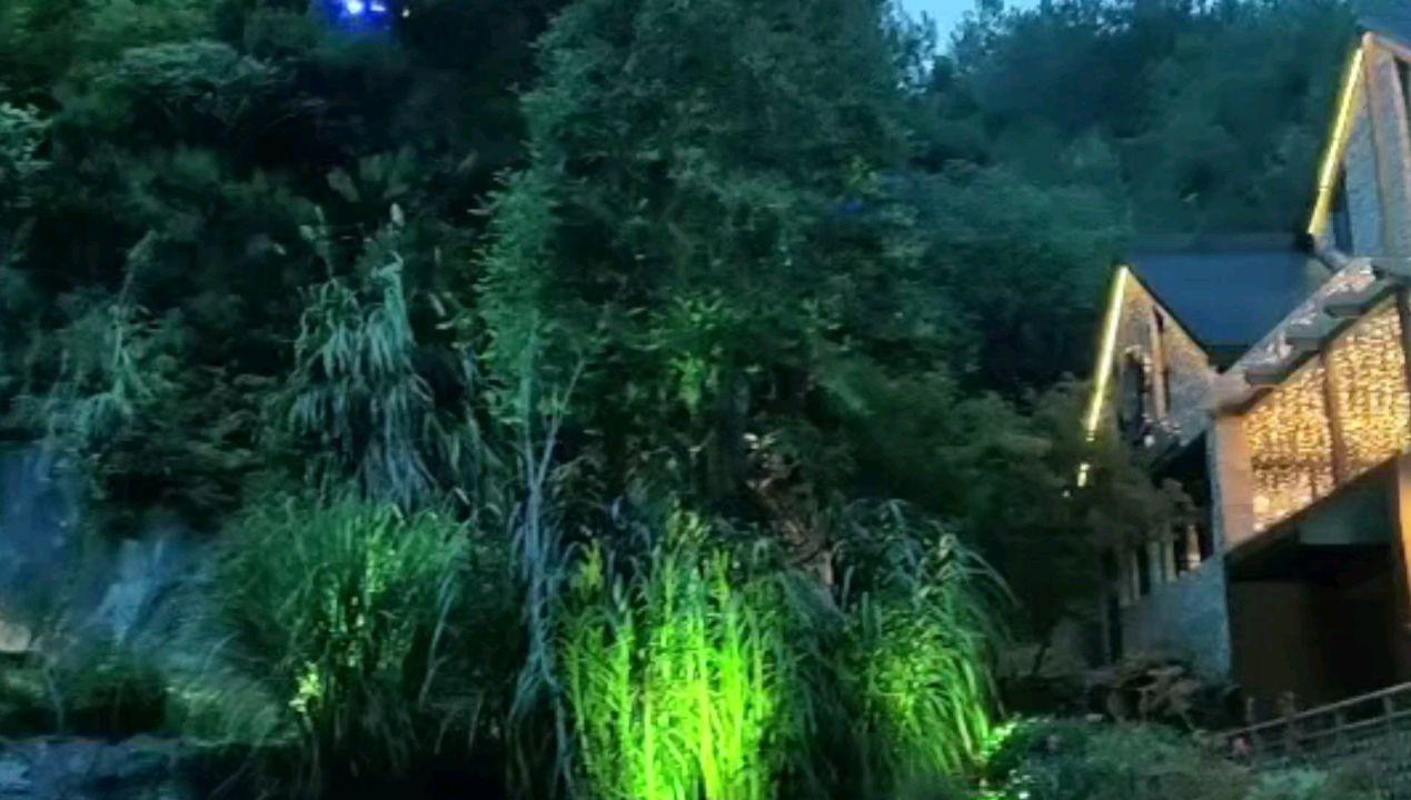 全民烧脑3去广告版